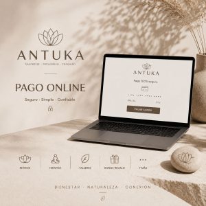 Link de pago